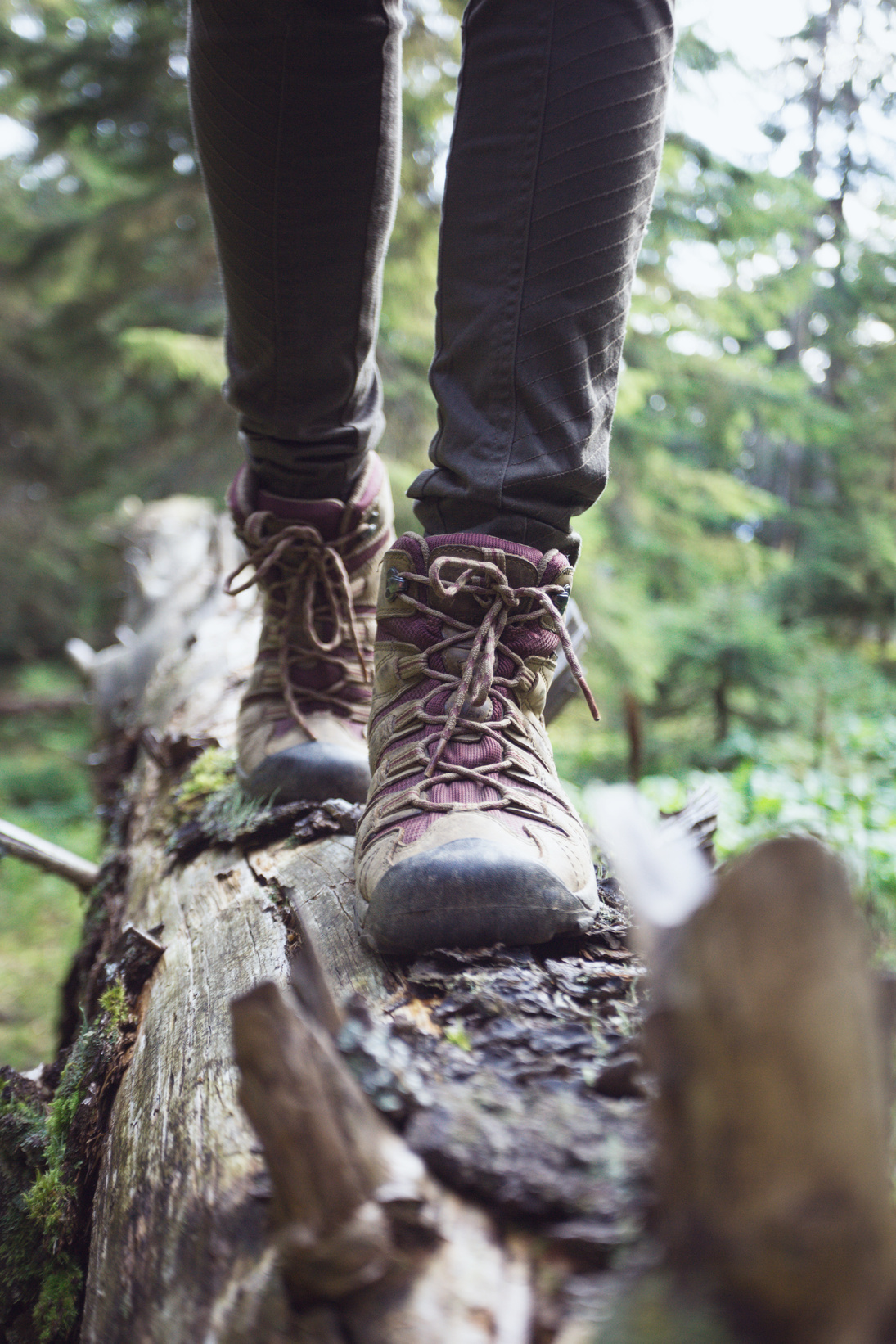 hiking boots close-up. girl tourist steps on a log"n
